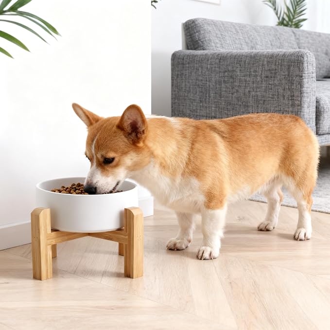 Elevated/Raised Ceramic Dog Bowl with Bamboo Stand，6 Inch 3.6 Cups Non Slip Heavy Weighted Single Pet Dish, for Small Medium Breed & Cats,Reduces Neck Strain White - Image 7