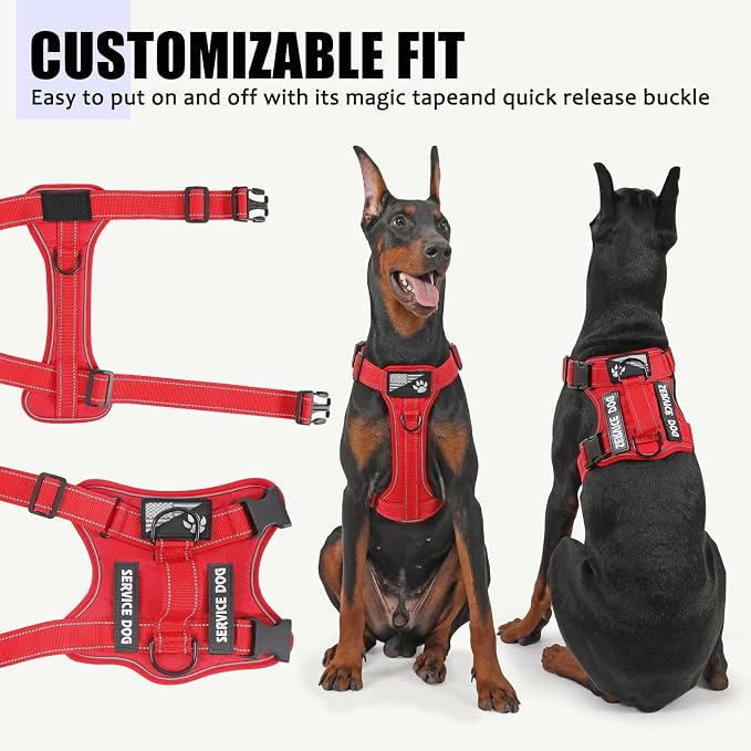 Service Dog Harness, Reflective Dog Vest Harness with 5 PCS Patches, Adjustable Soft Oxford Pet Harness, Inner Layer Mesh, Easy to Control for Dogs (All-RED, Large (Pack of 1)) - Image 3