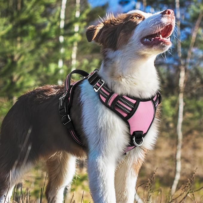 rabbitgoo Dog Harness Medium Sized, No Pull 3 Buckles Easy On & Off | Soft Padded, Walking with Control Handle, Adjustable and Reflective, Light Pink, Medium - Image 8