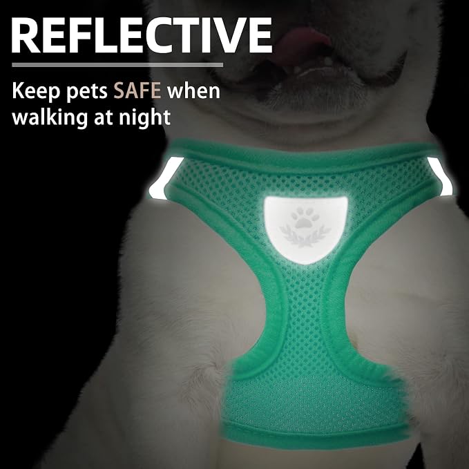 PUPTECK Dog Harness, Collar and Leash Set No Pull for Small Medium Sized | Soft Mesh Puppy Step-in Escape Proof Reflective No Choke Pet Cat Adjustable Walking Vest - Image 5