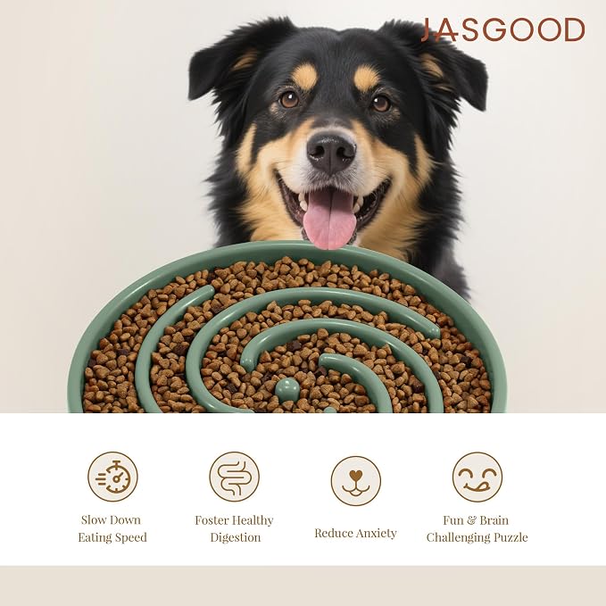 JASGOOD Slow Feeder Dogs Bowl for Large Medium Dogs,Anti-Gulping Pet Slower Food Feeding Bowls - Image 6