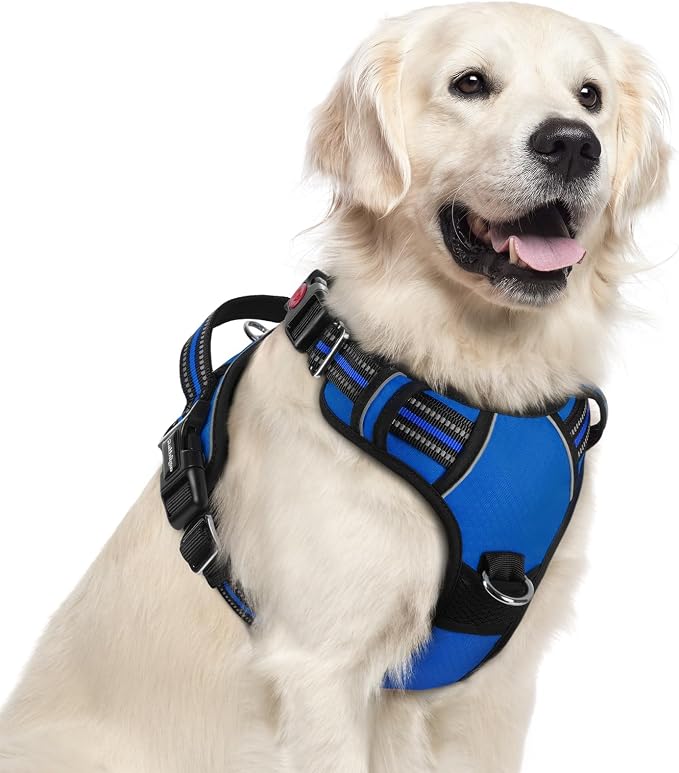 rabbitgoo Dog Harness for Large, No Pull 3 Buckles Easy On & Off | Soft Padded, Walking with Control Handle, Adjustable and Reflective, Royal Blue, X-Large by rabbitgoo