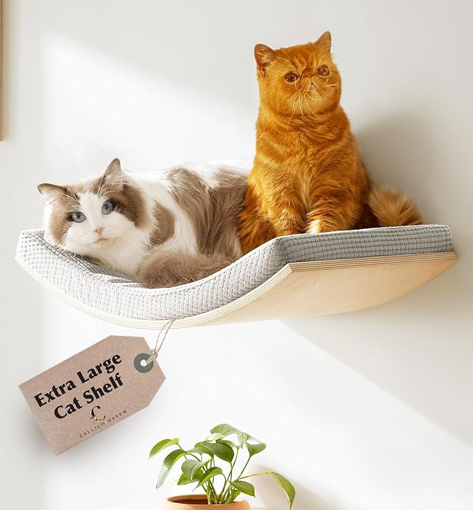 Extra Large 23.6”×14.6” CALLICO HAVEN- Stylish Cat Wall Shelves with Curved Design, Modern Wall-Mounted Cat Tree Hammock with Soft Cushion, Sturdy/Hidden Mounts, Washable Cover, Sleek Design -C Shape by CallicoHaven