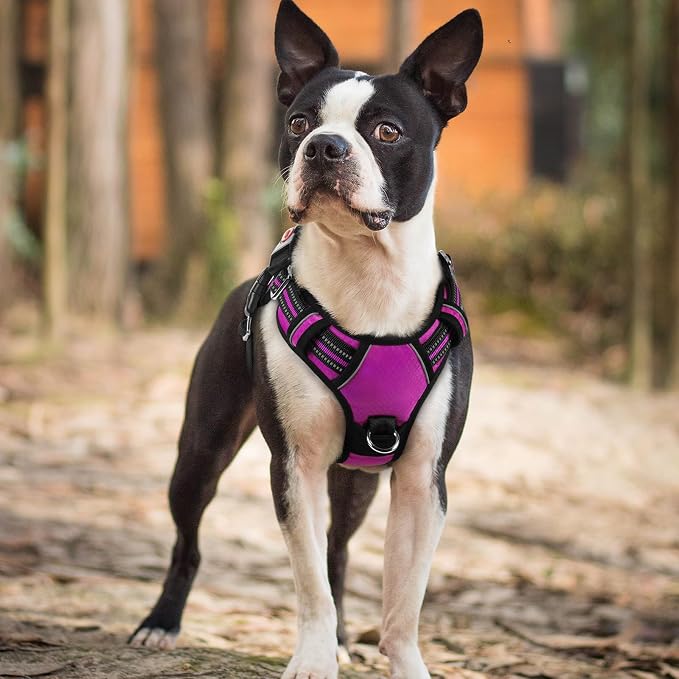 rabbitgoo Dog Harness Small Sized, No Pull 3 Buckles Easy On & Off | Soft Padded, Walking with Control Handle, Adjustable and Reflective, Purple, Small - Image 8