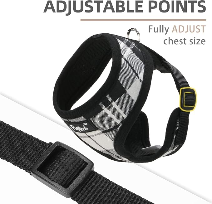 PUPTECK Small Dog Harness and Leash Set No Pull for XS XXS Sized Dogs Puppy | Escape Proof No Choke Pet Cat Adjustable Soft Padded Walking Vest - Image 3