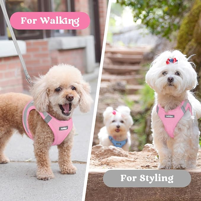 rabbitgoo Step-in Small Dog Harness, Puppy Vest for Small Medium Sized Pet | Easy Put on and off, Lightweight, Soft, Breathable Quick-Dry Air Mesh for Comfortable Secure Walking, Light Pink & Gray L - Image 9
