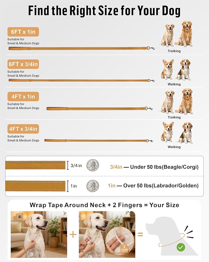 FunTags Reflective Nylon Dog Leash for Medium & Large Dogs, 6FT for Walks | Comfortable Padded Grip, Stay Safe at Night, 360° Anti-Tangle Swivel, for Dog Parks & Trails, Khaki - Image 7