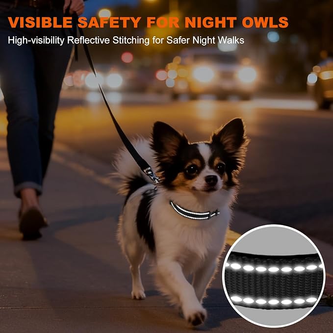Taglory Reflective Dog Collar for Puppies, Gentle and Safe for Night Walks | Night-Walk Visibility, Soft Neck Cushioning, Adjustable 8-12 in, Locking Buckle, D-Ring for Leash and ID Tags - Image 5