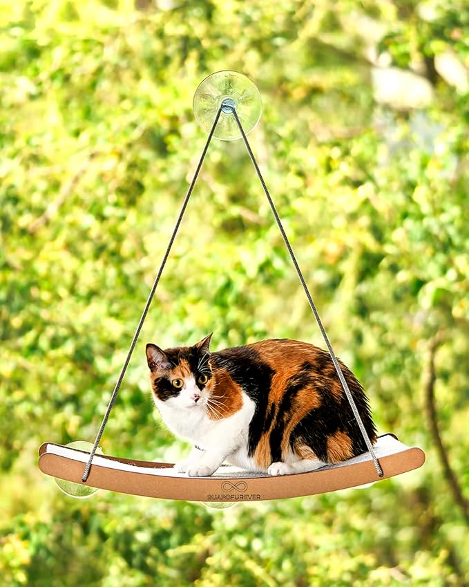 Cat Window Hammock for Large Cats – Strong Suction Cup Cat Window Perch Bed, Durable Eco, Washable Cover, Space Saving Window Seat for Indoor Cats (XL) by GuapoFurever