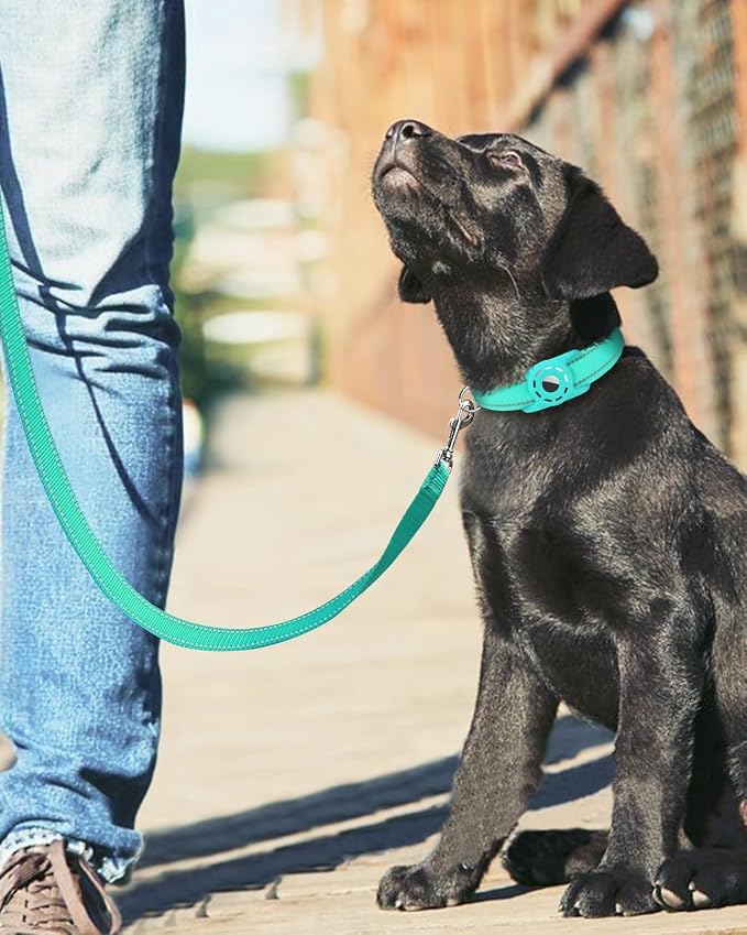 4FT Reflective Dog Leash, Padded Handle for Medium Large Dogs | Comfortable Nylon, Soft Handle Cushioning, Reflective Safety at Night, Training Leash for Park & Hiking (1in, Turquoise) - Image 6