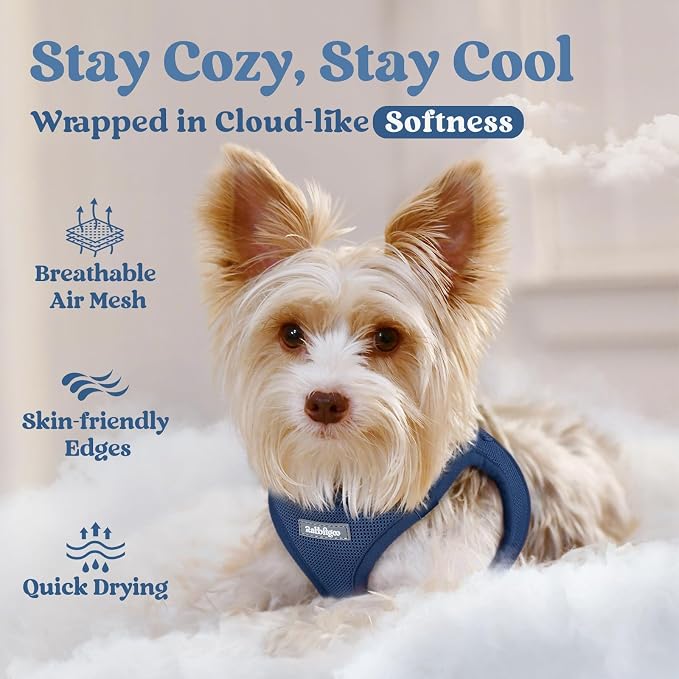 rabbitgoo Step-in Small Dog Harness, Puppy Vest for Small Medium Sized Pet | Easy Put on and off, Lightweight, Soft, Breathable Quick-Dry Air Mesh for Comfortable Secure Walking, Navy Blue XL - Image 3