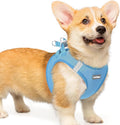 rabbitgoo Step-in Small Dog Harness, Puppy Vest for Small Medium Sized Pet | Easy Put on and off, Lightweight, Soft, Breathable Quick-Dry Air Mesh for Comfortable Secure Walking, Blue L by rabbitgoo