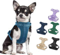 Wisedog Lightweight No Pull Dog Harness, Navy, Small | Air Mesh, 3 Clips, Adjustable, No Choke Design, Ideal for Walking Training by WisedogPetSupplies