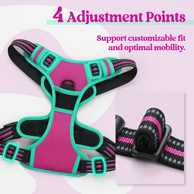 rabbitgoo Dog Harness, No Pull for Large Dogs with 2 Leash Clips, Pet Vest | No Choke with Handle, Adjustable Soft Padded, Reflective, Easy Control for Walking, Hot Pink & Turquoise, Large - Image 4
