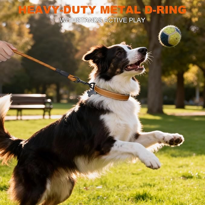 Taglory Reflective Dog Collar for Medium Dogs, Soft and Safe for Daily Walk | Soft Neck Cushioning, Adjustable 14-20 in, Sturdy Webbing Withstands Strong Pullers, Zinc Alloy D-Ring for Leash and ID Tags - Image 6