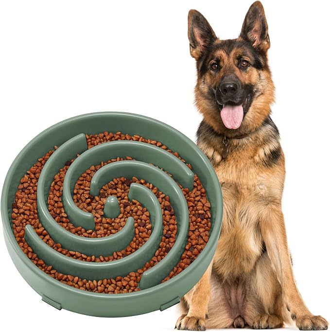 JASGOOD Slow Feeder Dogs Bowl for Large Medium Dogs,Anti-Gulping Pet Slower Food Feeding Bowls by JASGOOD