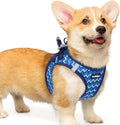rabbitgoo Step-in Small Dog Harness, Puppy Vest for Small Medium Sized Pet | Easy Put on and off, Lightweight, Soft, Breathable Quick-Dry Air Mesh for Comfortable Secure Walking, Blue Zigzag L by rabbitgoo