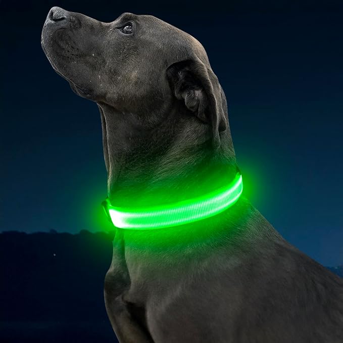 Illumifun Light Up Dog Collar, USB Rechargeable LED Dog Collar Glow in the Dark，Adjustable Pet Safety Lights for Night Walking (Green, Medium) - Image 7