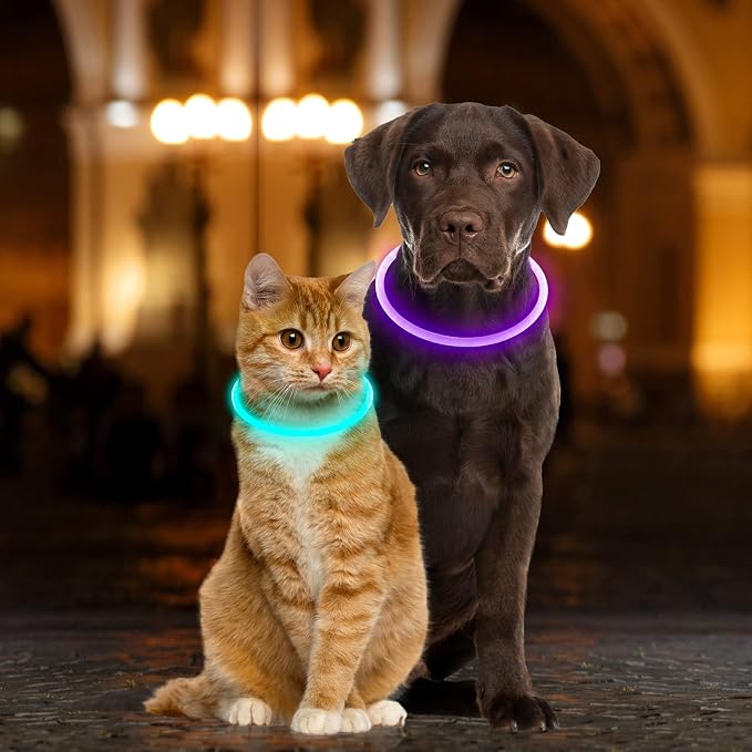 Light Up Dog Collar, USB Rechargeable, LED, Purple | Cuttable TPU, Waterproof, Night Walking, Night Safety, Glow in the Dark, Small Medium Large Dogs, Camping, Outdoor - Image 6