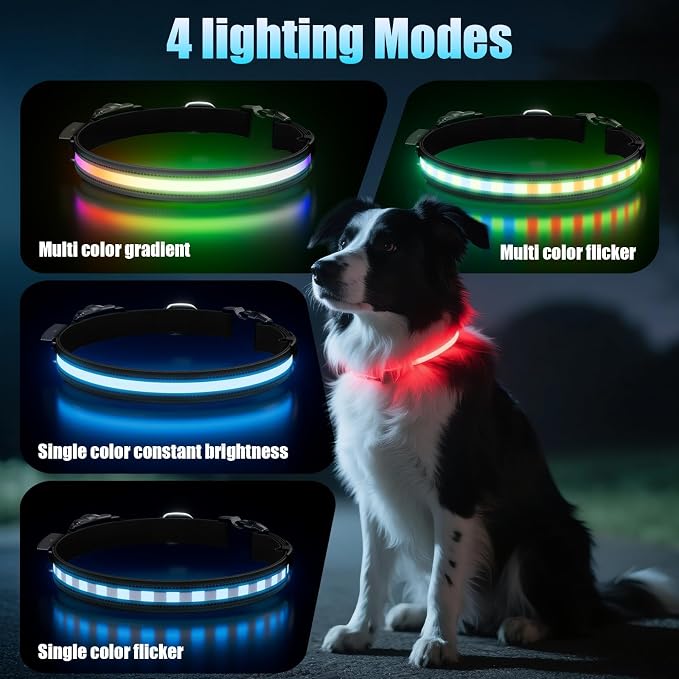 LED AirTag Dog Collar - Brightest Light Up Dog Collars, Black L | IP68 Waterproof Air Tag Dog Collar Holder, 1,600 Feet of High Visibility, Magnetic Charging, Dog Lights for Night Walking - Image 3