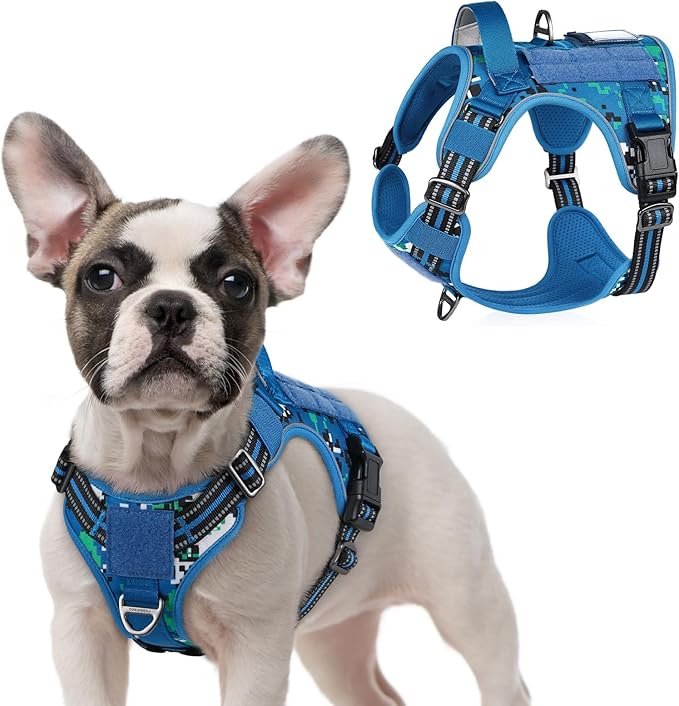 rabbitgoo Tactical Dog Harness for Small, No Pull Military Service Vest | Molle & Handle, Heavy Duty, Adjustable, Reflective Straps, Easy Control for Training Walking, Blue Camo, Small by rabbitgoo