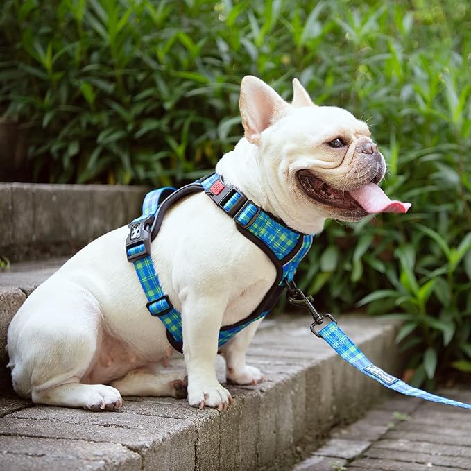PoyPet Plaid Dog Harness Large, No Pull Vest with Front Clip & Neck Buckle | Padded Handle, Reflective, No Choke, Lockable, 2 Leash Rings, Full Adjustable, for Training Walking, XL, Checkered Blue&Green - Image 2