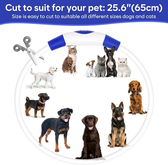 Light Up Dog Collar 2-Pack, USB Rechargeable for Small to Large Dogs | Rechargeable LED Glow Dog Collar with 3 Light Modes, Waterproof, Adjustable 12–25 Inches for Safe Night Walking - Image 5