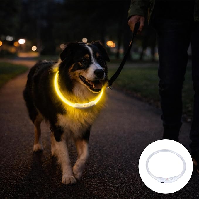 Lighted Dog Collar, Rechargeable 7 Colors Changing Light Up Dog Collar, Adjustable Glowing Dog Collar, Make Dog Visible and Safety for Night Walking, Cuttable for Small Medium Large Dogs - Image 2