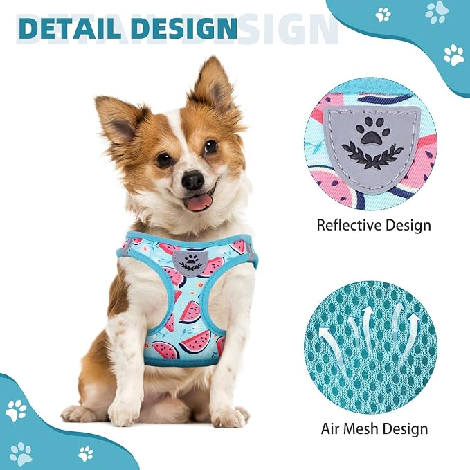 KOOLTAIL Dog Harness and Leash Set for Small Medium Dogs, Step in No Pull Soft Mesh Dog Harness Comfort Padded Pet Vest, Adjustable Reflective Easy Walking Puppy Cats Harness Training, Watermelon S - Image 4
