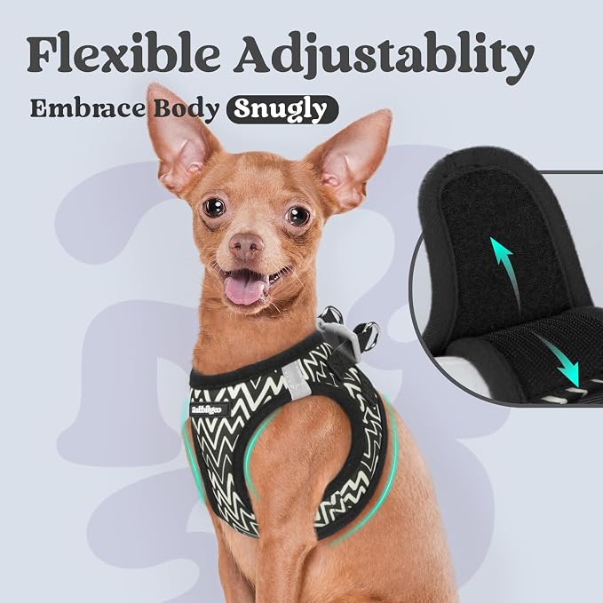 rabbitgoo Step-in Small Dog Harness, Puppy Vest for Small Sized Pet | Easy Put on and off, Lightweight, Soft, Breathable Quick-Dry Air Mesh for Comfortable Secure Walking, Black Zigzag XS - Image 6