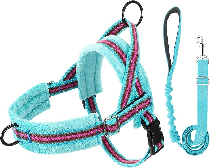 Lukovee Small Dog Harness and Leash Set, No Pull Soft Padded Vest | Both Neck & Chest Adjustable, Reflective, Puppy Harness with 4ft Lightweight Anti-Twist Dog Leash for Small Dogs (01-LBL, XS) - Image 9