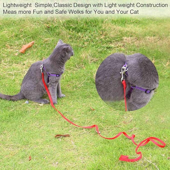 AMAGOOD 6 FT Puppy/ Dog Leash, Strong and Durable Traditional Style Leash with Easy to Use Collar Hook, Great for Small, Medium and Large Dogs (5/8 in x 6 ft, Black and Red (2-Pack)) - Image 4