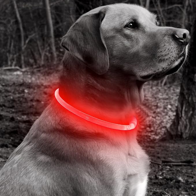 Light Up Dog Collar - Type-C Rechargeable LED Dog Collar - 360° Glow in the Dark Pet Collar for Small Medium Large Dogs, TPU Cuttable Puppy Collar Safety Dog Lights for Night Walking (Red 70cm) - Image 9