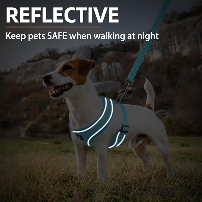 PUPTECK Small Dog Harness and Leash Set No Pull for XS XXS Sized Dogs Puppy | Escape Proof No Choke Pet Cat Adjustable Soft Padded Walking Vest - Image 6