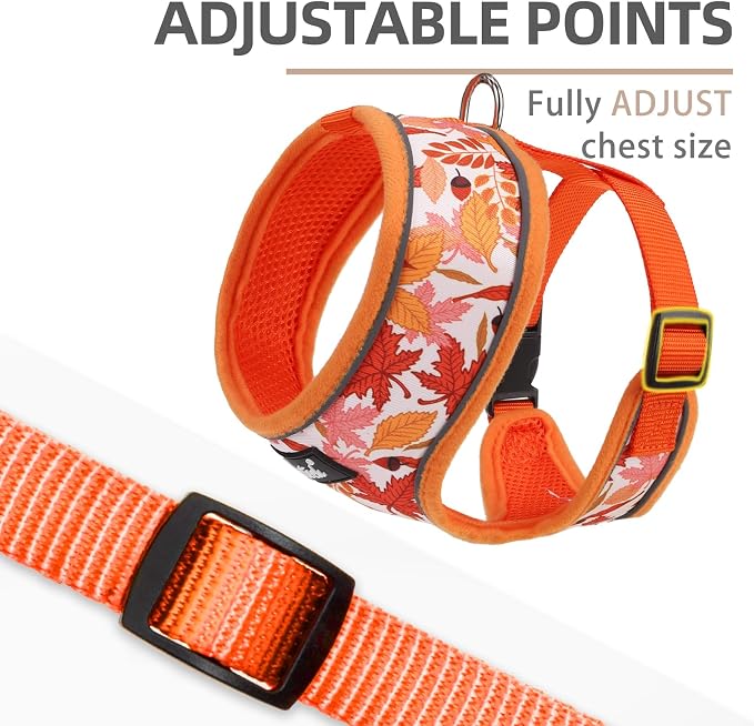 PUPTECK Small Dog Harness and Leash Set No Pull for XS XXS Sized Dogs Puppy | Escape Proof No Choke Pet Cat Adjustable Soft Padded Walking Vest - Image 3
