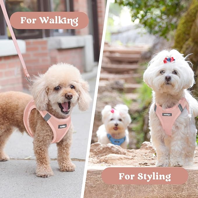 rabbitgoo Step-in Small Dog Harness, Puppy Vest for Small Medium Sized Pet | Easy Put on and off, Lightweight, Soft, Breathable Quick-Dry Air Mesh for Comfortable Secure Walking, Pink L - Image 9