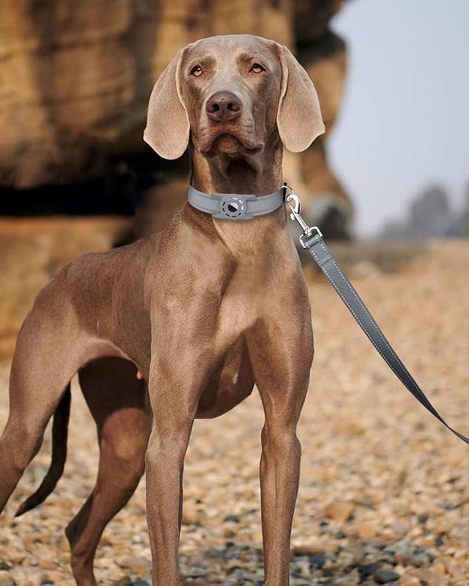 6FT Reflective Dog Leash, Padded Handle for Small Medium Dogs | Comfortable Nylon, Soft Handle Cushioning, Reflective Safety at Night, Walking Leash for Park & Hiking (3/4in, Grey) - Image 2