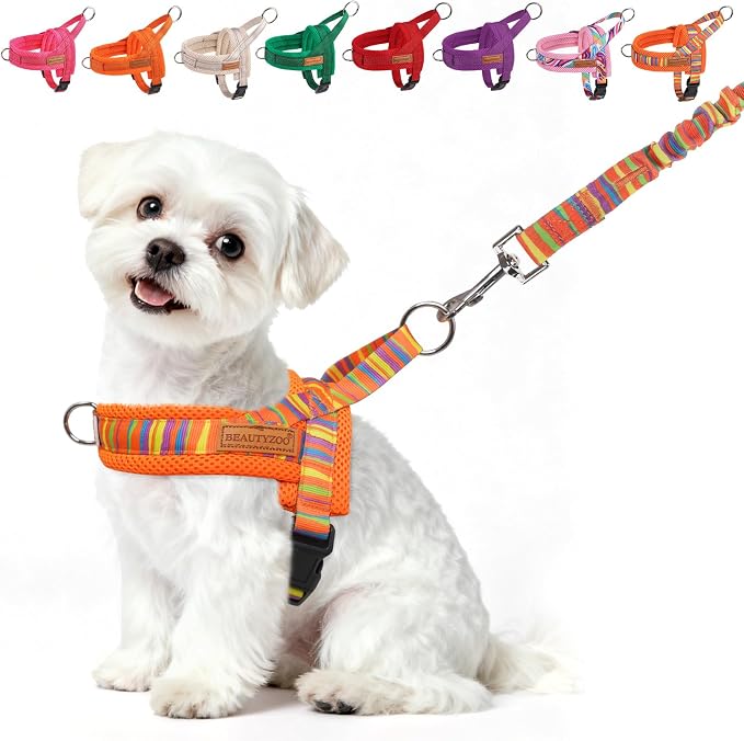 BEAUTYZOO Small Dog Harness and Leash Set, No Pull Step in Puppy Vest | Adjustable Quick Fit No Choke Escape Proof, Breathable with Handle, Lightweight, Easy Control for Walking, Orange S by BEAUTYZOO