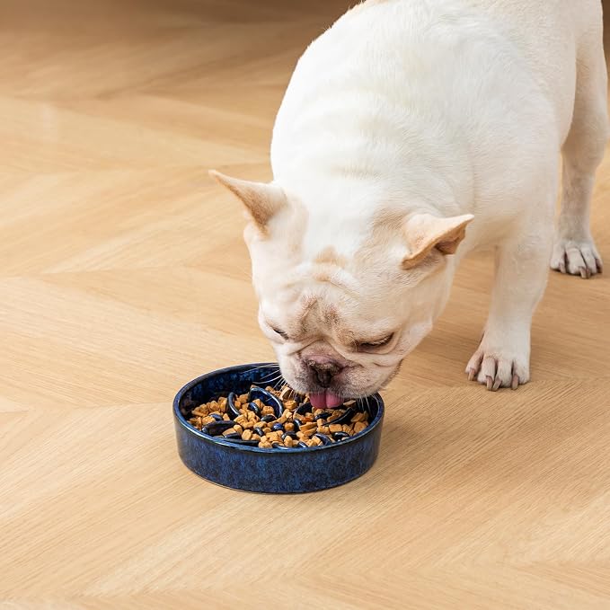 vancasso Ceramic Slow Feeder Dog Bowls, Puzzle Dog Food Bowls with Floral Maze, Anti -Slip Pet Food Dish for Small Breed, 0.6 Cups, Blue - Image 7