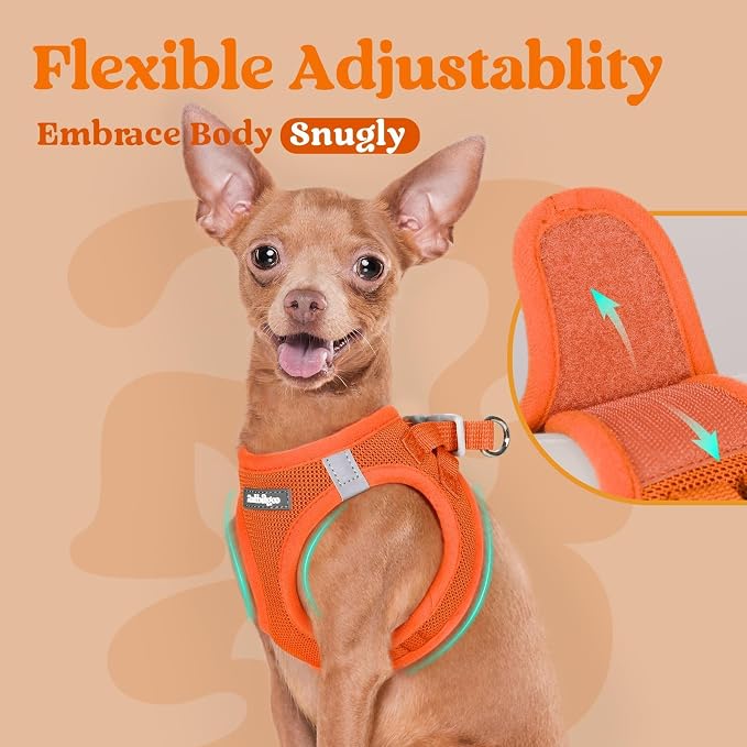 rabbitgoo Step-in Small Dog Harness, Puppy Vest for Small Medium Sized Pet | Easy Put on and off, Lightweight, Soft, Breathable Quick-Dry Air Mesh for Comfortable Secure Walking, Orange L - Image 6