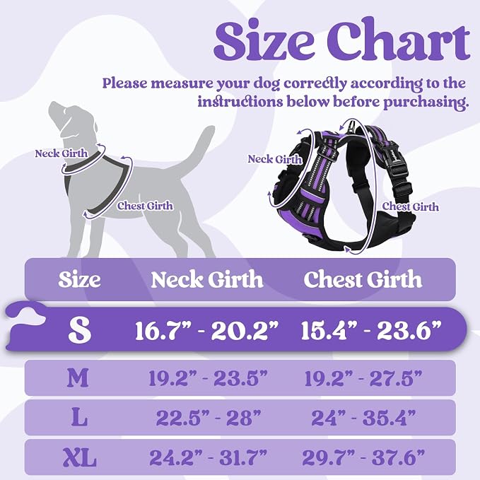 rabbitgoo Dog Harness Small Sized, Updated Easy On & Off with 3 Buckles | No Pull No Choke, Walking with 2 Clips and Handle, Adjustable Soft Reflective, Purple, Small - Image 2