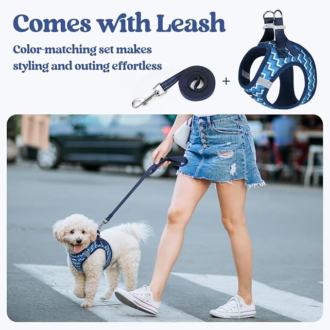 rabbitgoo Dog Harness Small Sized and Leash Set, Step-in Puppy Pet Vest | Light, Soft, Breathable Air Mesh, Easy on and Remove with Hook & Loop, Secure Reflective for Walking, Blue Zigzag M - Image 6