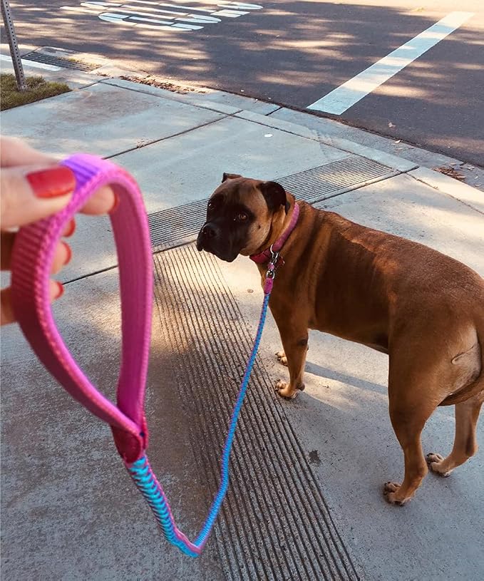 Reflective Dog Leash 2/3/4/6/10ft Braided 1/2" Strong Nylon Rope | 10FT Pink Dog Leash for Large Medium Small Dogs Walking Training Leads - Image 6