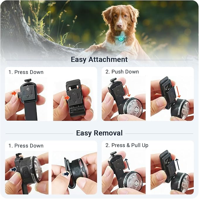 PAJ MINI Clip-On LED Dog Collar Light | USB Rechargeable - Waterproof - 7 Bright Colours - 8 Light Modes - Fit any Collar - Image 7