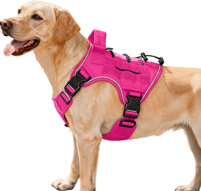Heavy-Duty Tactical Dog Harness for Large Dogs, No Pull Adjustable Reflective Pet Vest with Molle System, K9 Military-Grade Control for Service Training, Outdoor & 10+ Breeds, Hot Pink, Medium by Bruvoalon