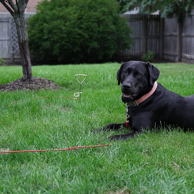 BV Dog Tie Out Cable 30 Feet - Heavy Duty Dog Lead Up to 125 Pounds - Reflective & Rust-Free with Quick Release Swivel Clips & 360° Rotating Clasp - Tangle-Free Dogs Runner for Yard (Red, Single) - Image 9