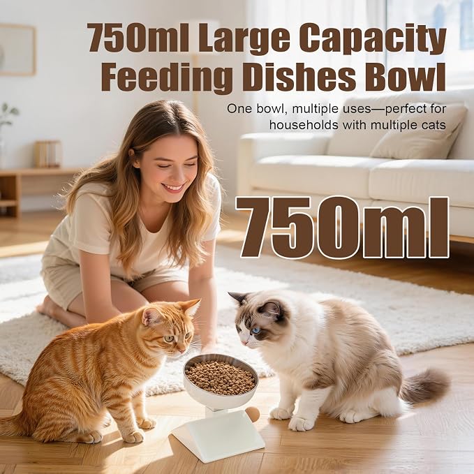 Elevated Cat Bowl, 4 Heights Stainless Steel Raised Stand | 18oz, adjustable height, whisker friendly, neck protect, food water bowls, indoor cats puppy, non slip, dishwasher - Image 3