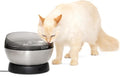 PetSafe HydroSphere 60 oz Stainless Steel Pet Fountain - Filtered Water Fountain for Cats and Small Dogs - Dishwasher Safe - Quiet, Wire-Free Pump - Easy to Clean by PetSafe