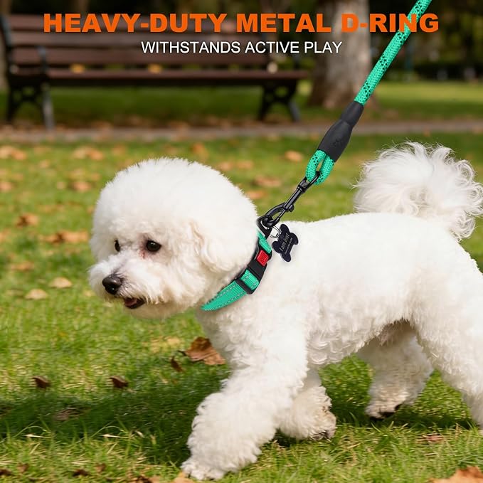 Taglory Reflective Dog Collar for Puppies, Gentle and Safe for Night Walks | Night-Walk Visibility, Soft Neck Cushioning, Adjustable 8-12 in, Locking Buckle, D-Ring for Leash and ID Tags - Image 6