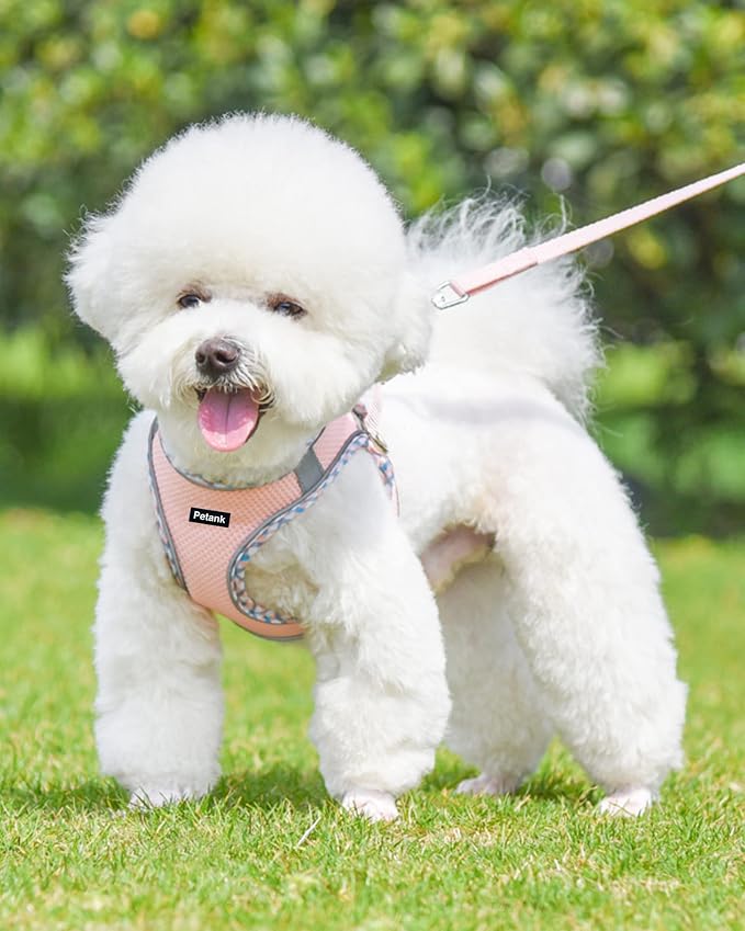 Petank Dog Harness for Small Medium Dogs No Pull, Puppy Harness and Leash Set, Step in Dog Harness for Walking, Running, Training, Small Dog Vest (Pink, XXS) - Image 2